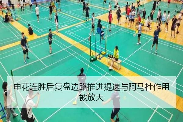 申花连胜后复盘边路推进提速与阿马杜作用被放大 | Kaiyun